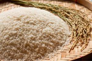 PR 11 rice